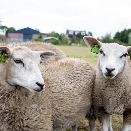Antonius Hoeve Chalet Oudenbosch