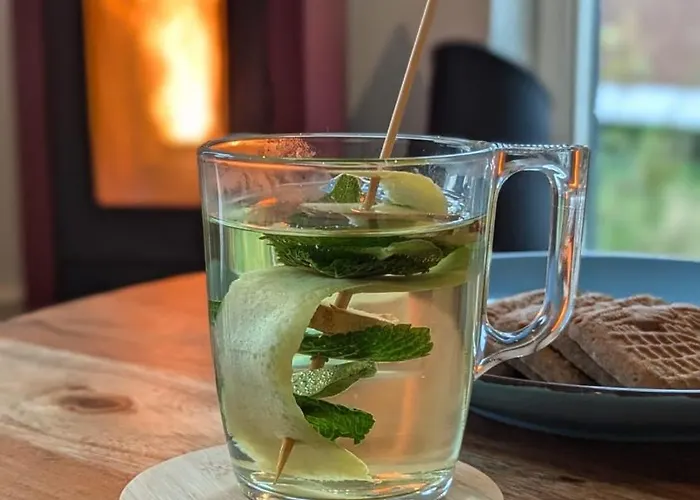 Σαλέ Antonius Hoeve *